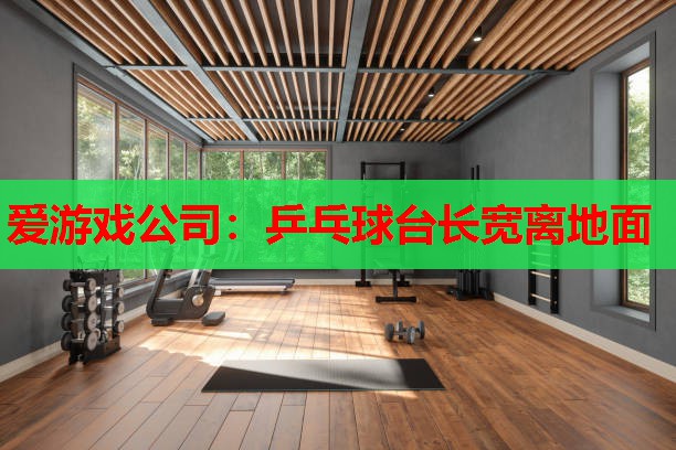 乒乓球台长宽离地面 乒乓球台长宽离地面