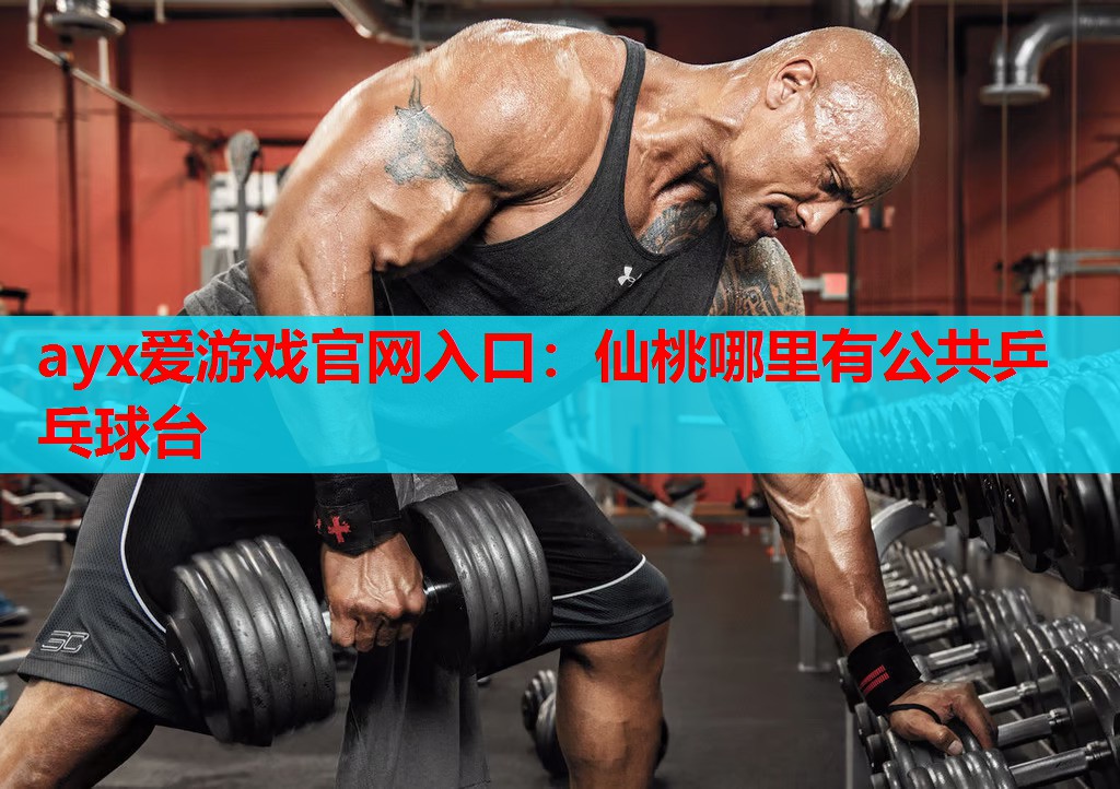 仙桃哪里有公共乒乓球台 仙桃哪里有公共乒乓球台