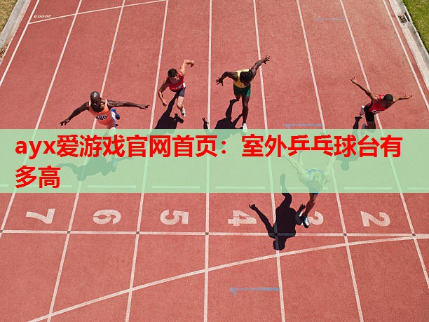 室外乒乓球台有多高 室外乒乓球台有多高