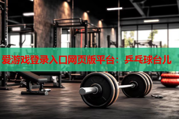 乒乓球台儿 乒乓球台儿