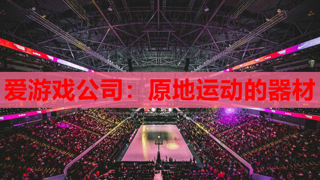 原地运动的器材 原地运动的器材