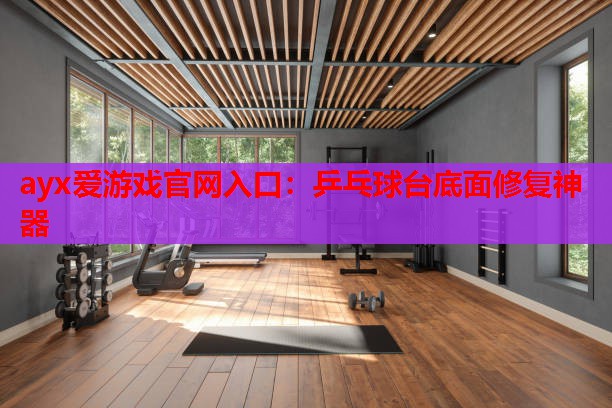 乒乓球台底面修复神器 乒乓球台底面修复神器