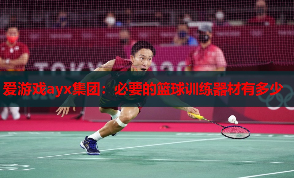 必要的篮球训练器材有多少 必要的篮球训练器材有多少