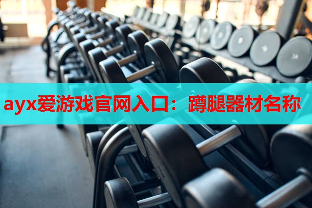 蹲腿器材名称 蹲腿器材名称