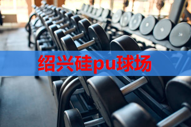 绍兴硅pu球场 绍兴硅pu球场