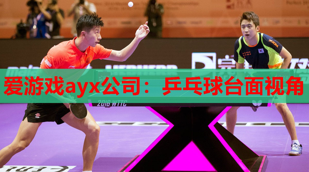 乒乓球台面视角 乒乓球台面视角