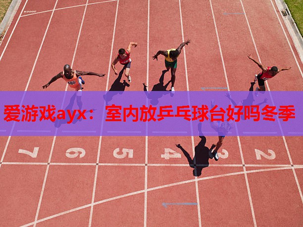 室内放乒乓球台好吗冬季 室内放乒乓球台好吗冬季