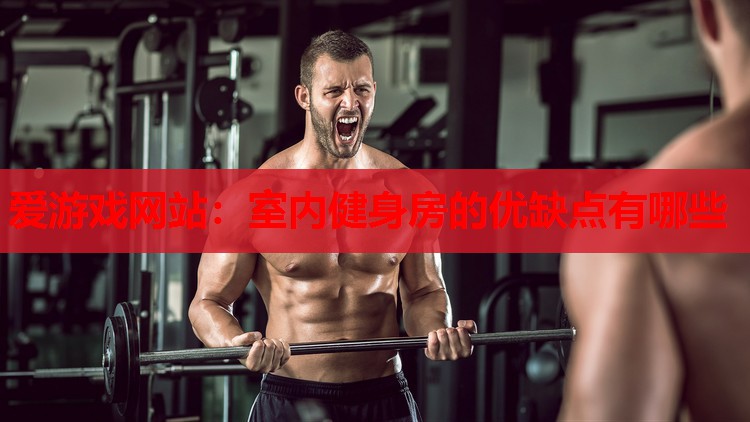室内健身房的优缺点有哪些 室内健身房的优缺点有哪些