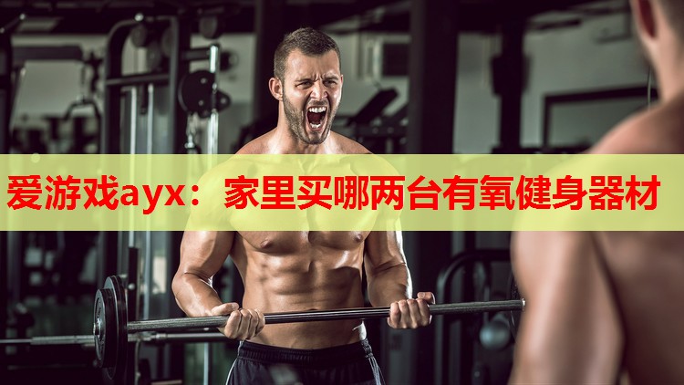 家里买哪两台有氧健身器材 家里买哪两台有氧健身器材