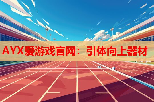 引体向上器材 引体向上器材