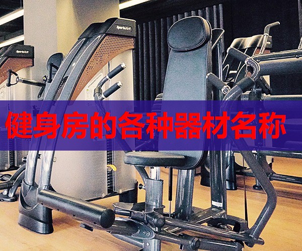 健身房的各种器材名称 健身房的各种器材名称