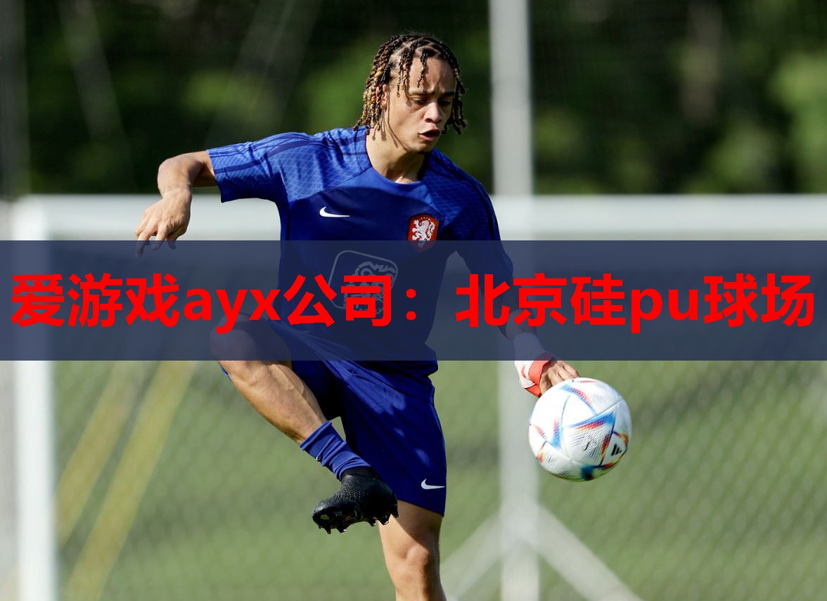 北京硅pu球场 北京硅pu球场
