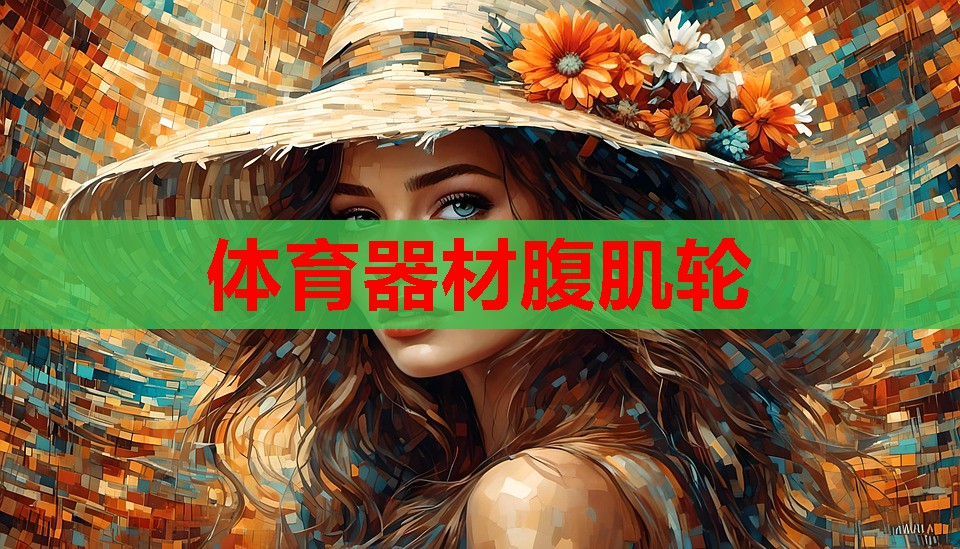 体育器材腹肌轮 体育器材腹肌轮