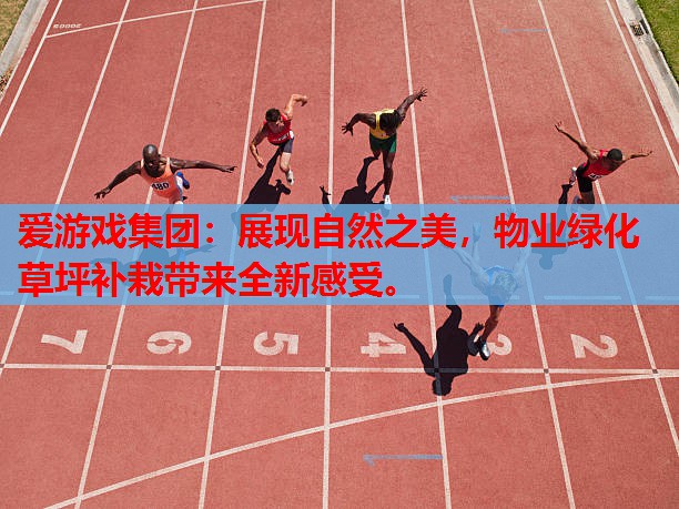 展现自然之美,物业绿化草坪补栽带来全新感受。 展现自然之美,物业绿化草坪补栽带来全新感受。