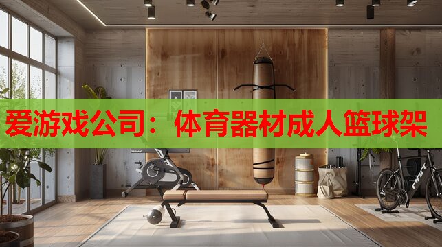 体育器材成人篮球架 体育器材成人篮球架