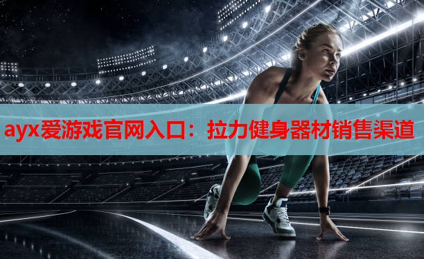 拉力健身器材销售渠道 拉力健身器材销售渠道