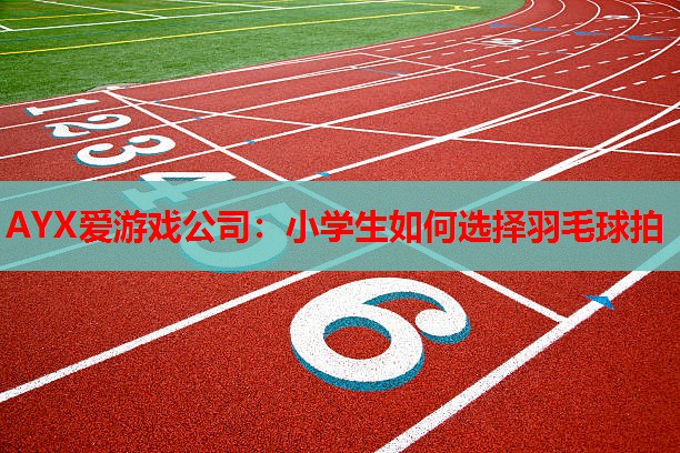 小学生如何选择羽毛球拍 小学生如何选择羽毛球拍