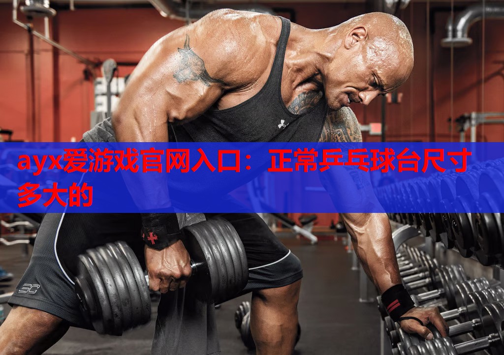 正常乒乓球台尺寸多大的 正常乒乓球台尺寸多大的