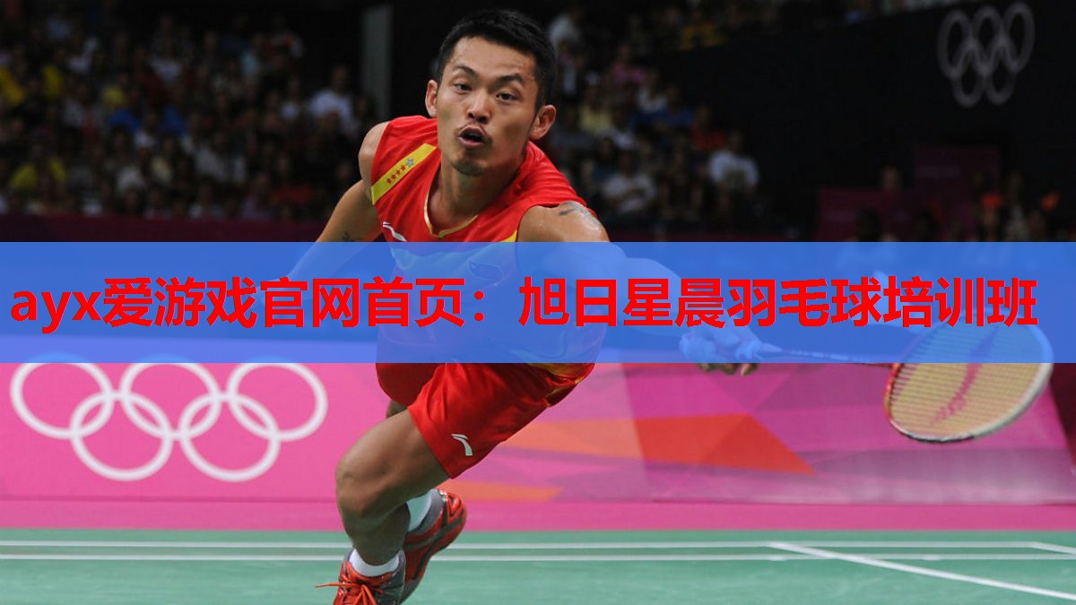 旭日星晨羽毛球培训班 旭日星晨羽毛球培训班