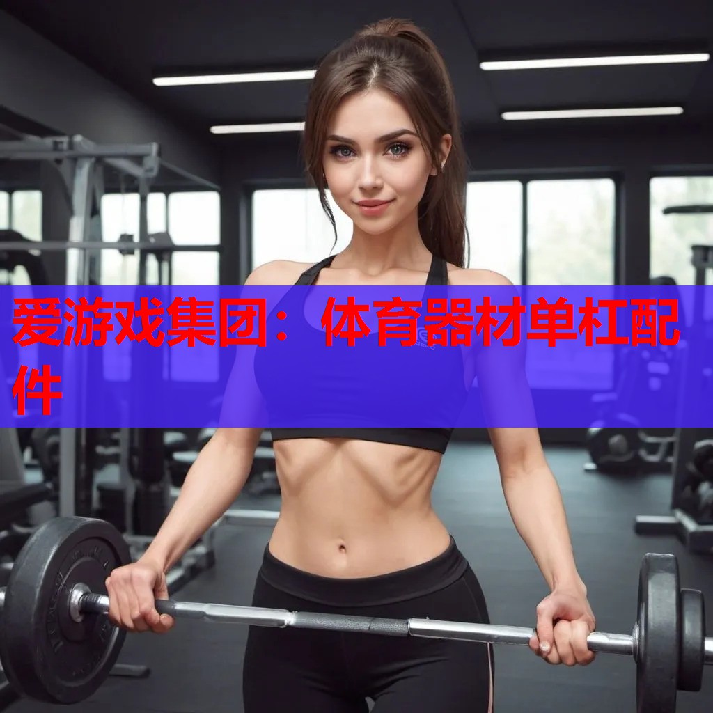 体育器材单杠配件 体育器材单杠配件