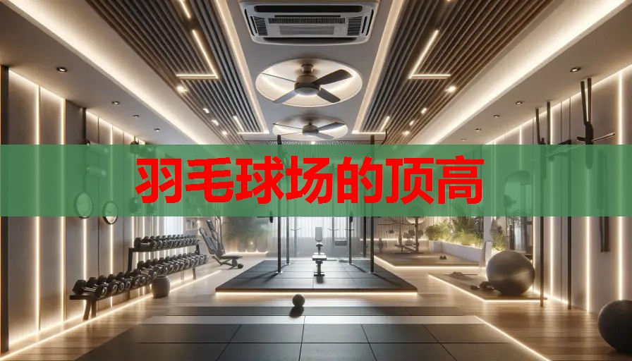 羽毛球场的顶高 羽毛球场的顶高
