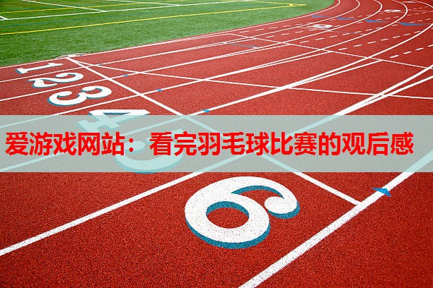 看完羽毛球比赛的观后感 看完羽毛球比赛的观后感