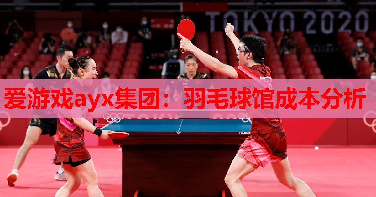 羽毛球馆成本分析 羽毛球馆成本分析