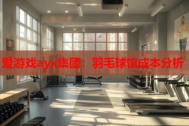 羽毛球馆成本分析 羽毛球馆成本分析