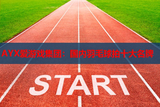 国内羽毛球拍十大名牌 国内羽毛球拍十大名牌
