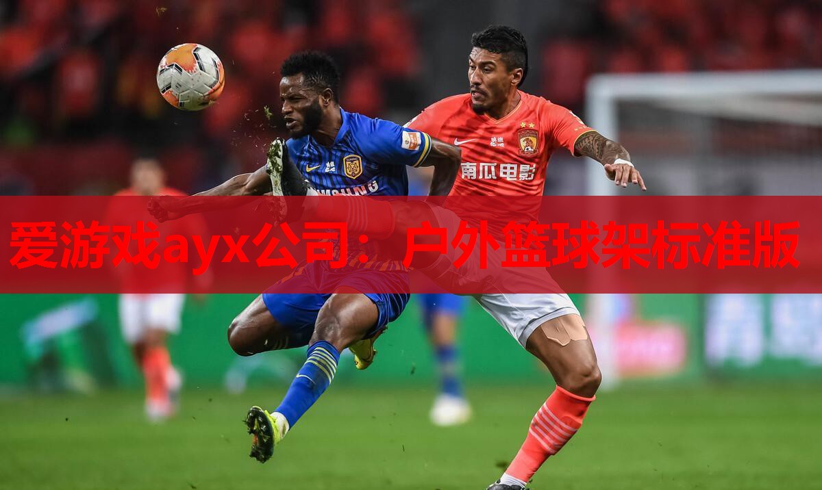 户外篮球架标准版 户外篮球架标准版