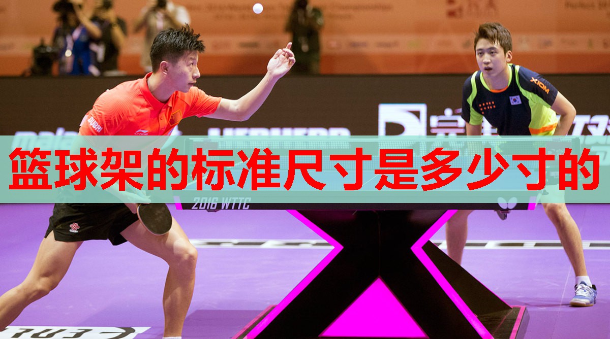 篮球架的标准尺寸是多少寸的 篮球架的标准尺寸是多少寸的