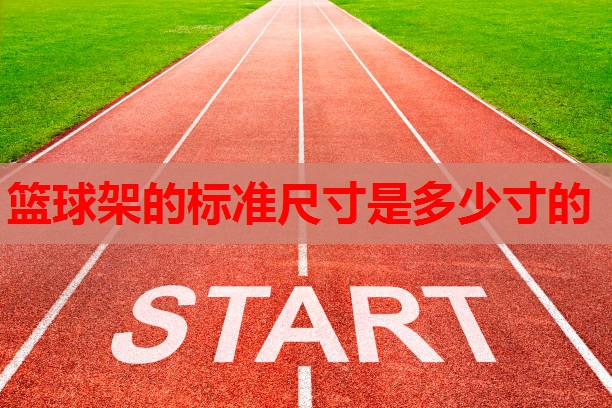 篮球架的标准尺寸是多少寸的 篮球架的标准尺寸是多少寸的