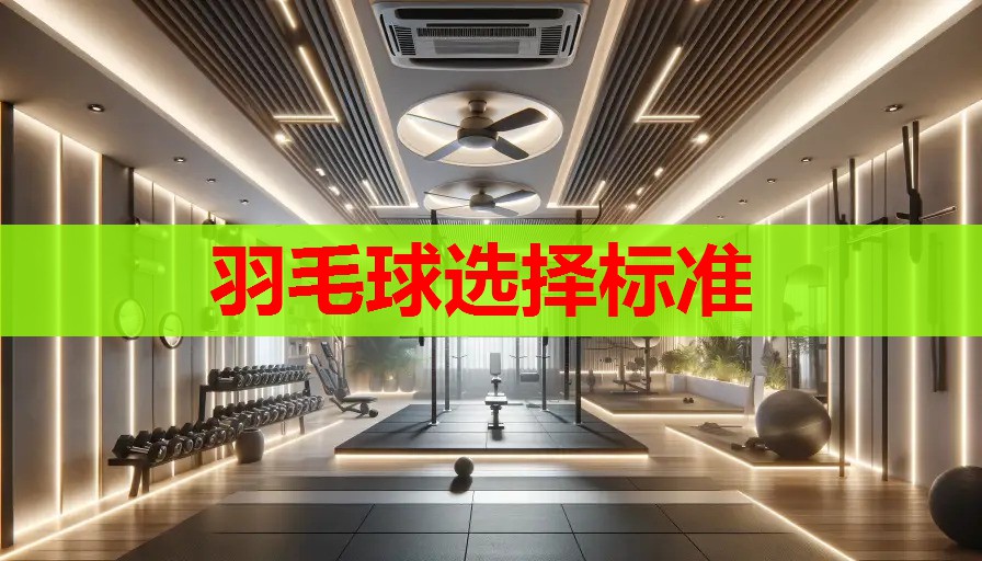 羽毛球选择标准 羽毛球选择标准