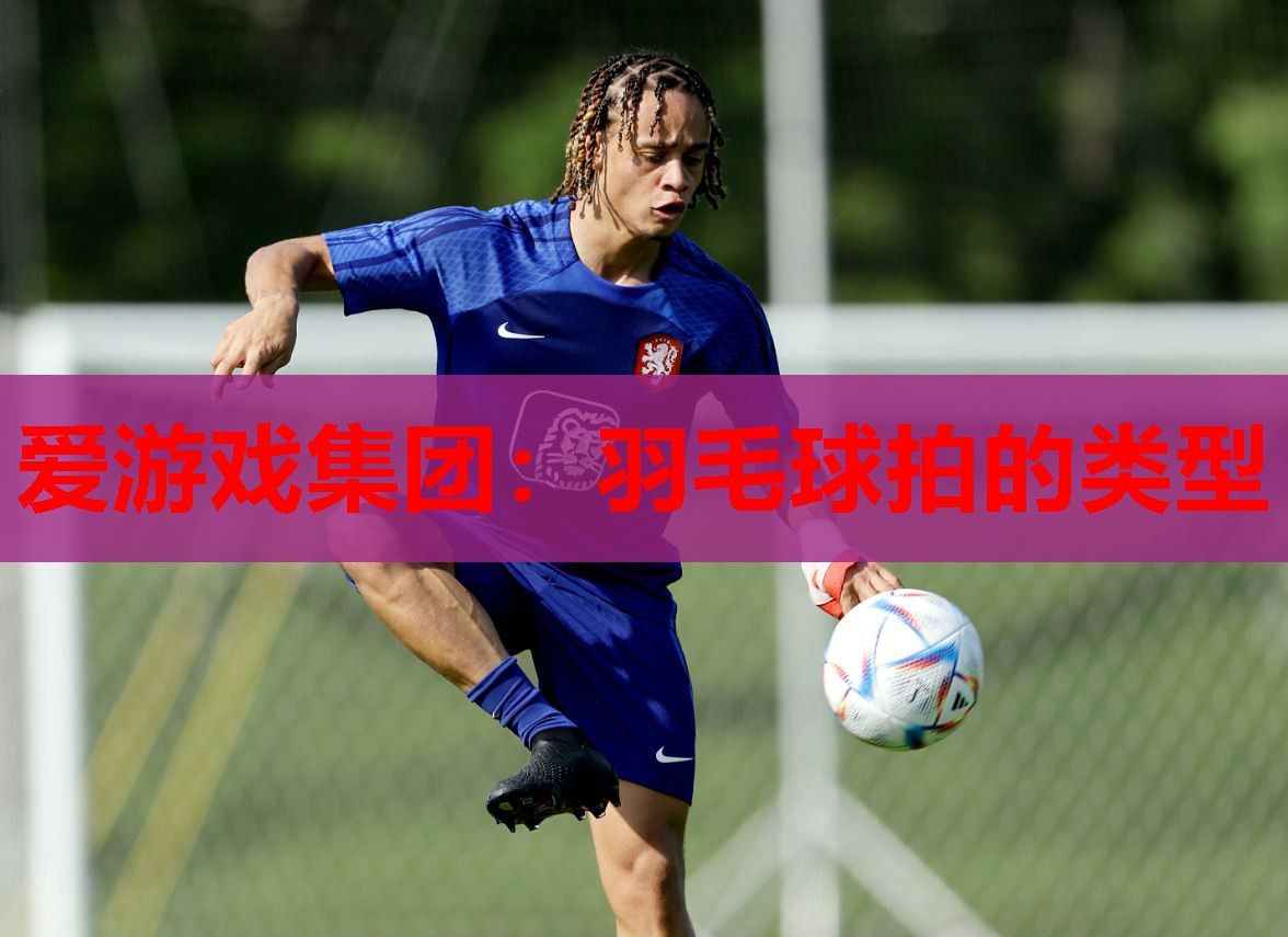 羽毛球拍的类型 羽毛球拍的类型