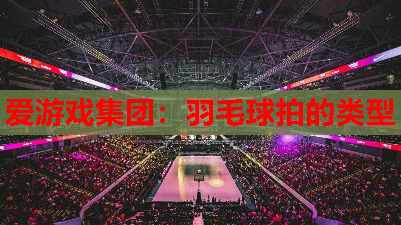 羽毛球拍的类型 羽毛球拍的类型
