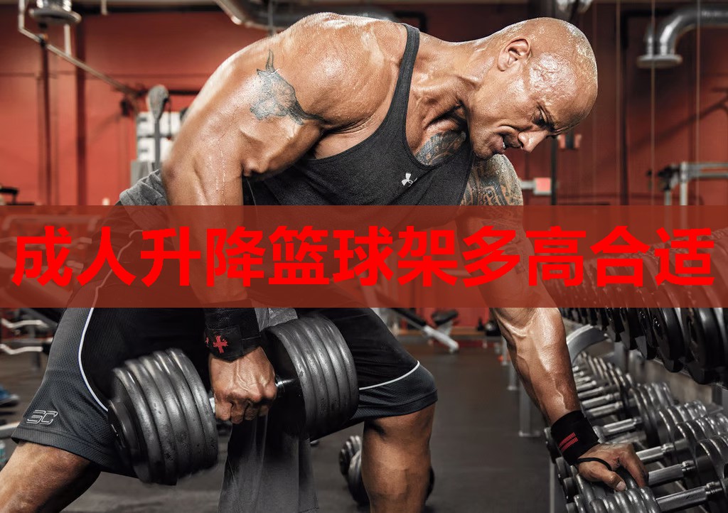 成人升降篮球架多高合适 成人升降篮球架多高合适