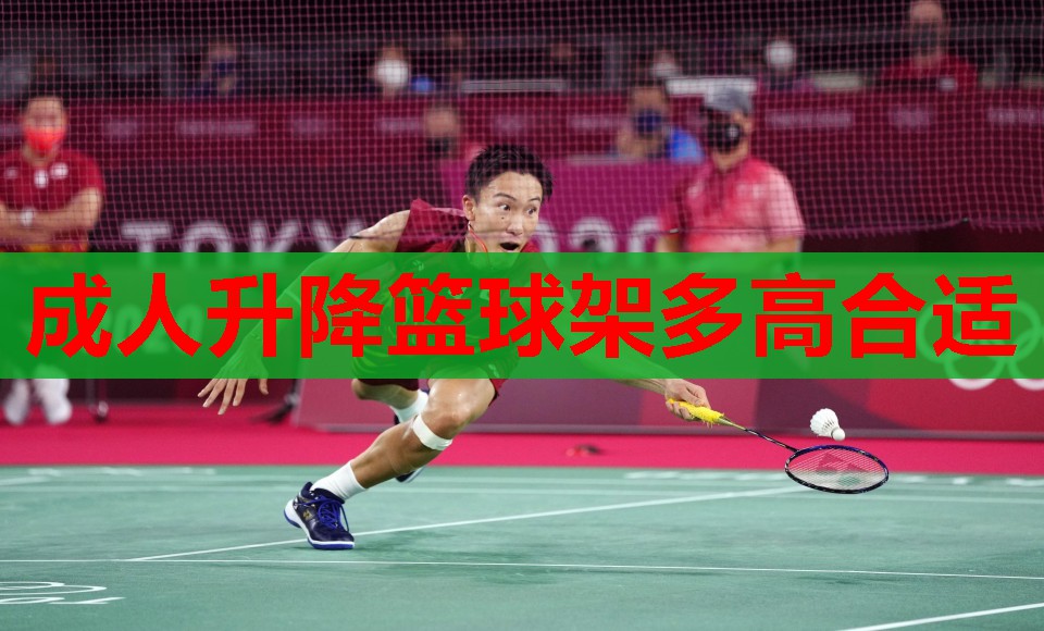 成人升降篮球架多高合适 成人升降篮球架多高合适