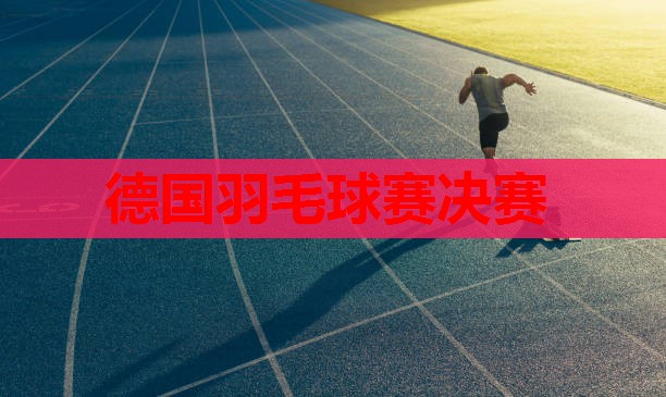 德国羽毛球赛决赛 德国羽毛球赛决赛