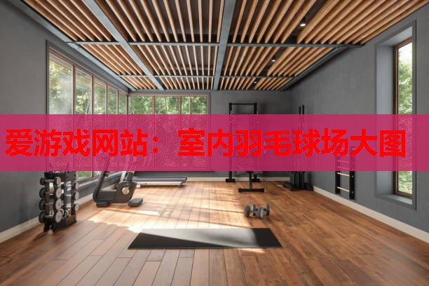 室内羽毛球场大图 室内羽毛球场大图