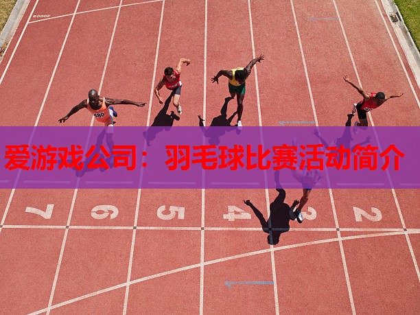 羽毛球比赛活动简介 羽毛球比赛活动简介