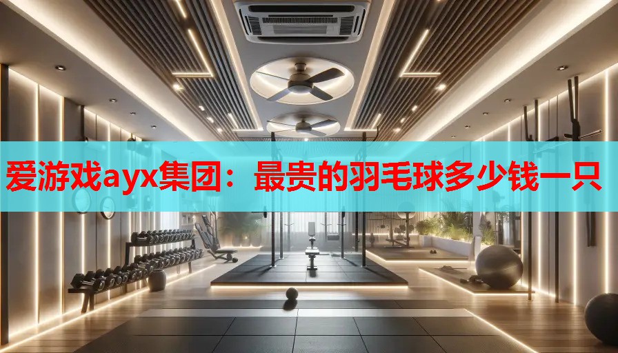 最贵的羽毛球多少钱一只 最贵的羽毛球多少钱一只