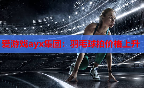 羽毛球拍价格上升 羽毛球拍价格上升