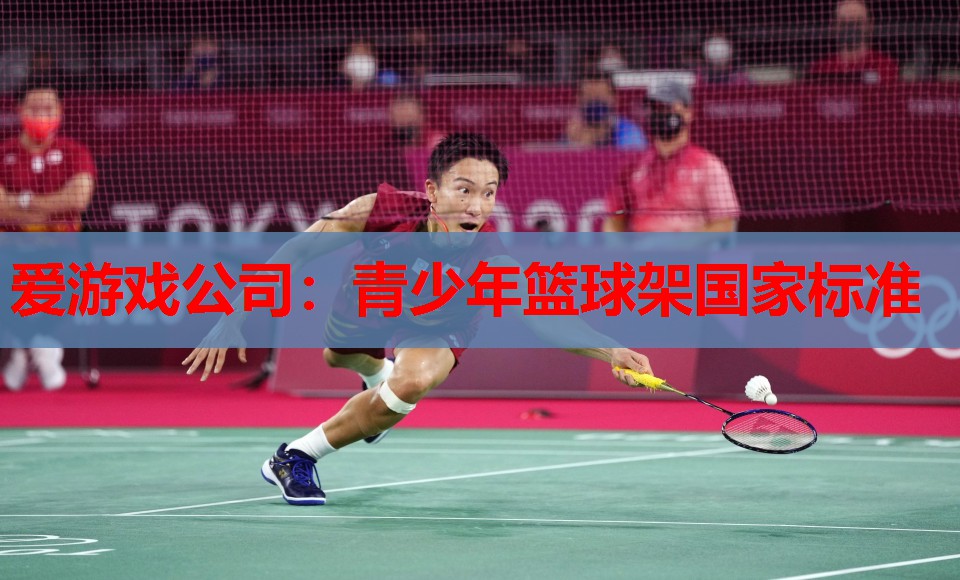 青少年篮球架国家标准 青少年篮球架国家标准