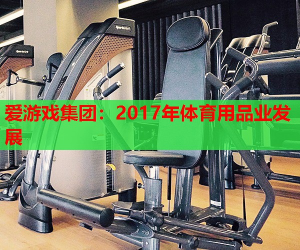 2017年体育用品业发展 2017年体育用品业发展