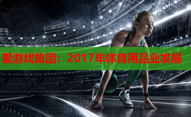 2017年体育用品业发展 2017年体育用品业发展