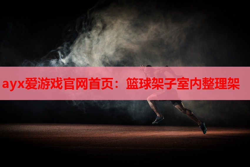 篮球架子室内整理架 篮球架子室内整理架