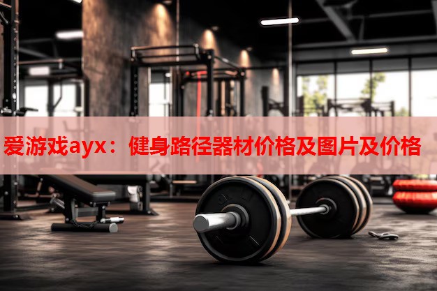 健身路径器材价格及图片及价格 健身路径器材价格及图片及价格