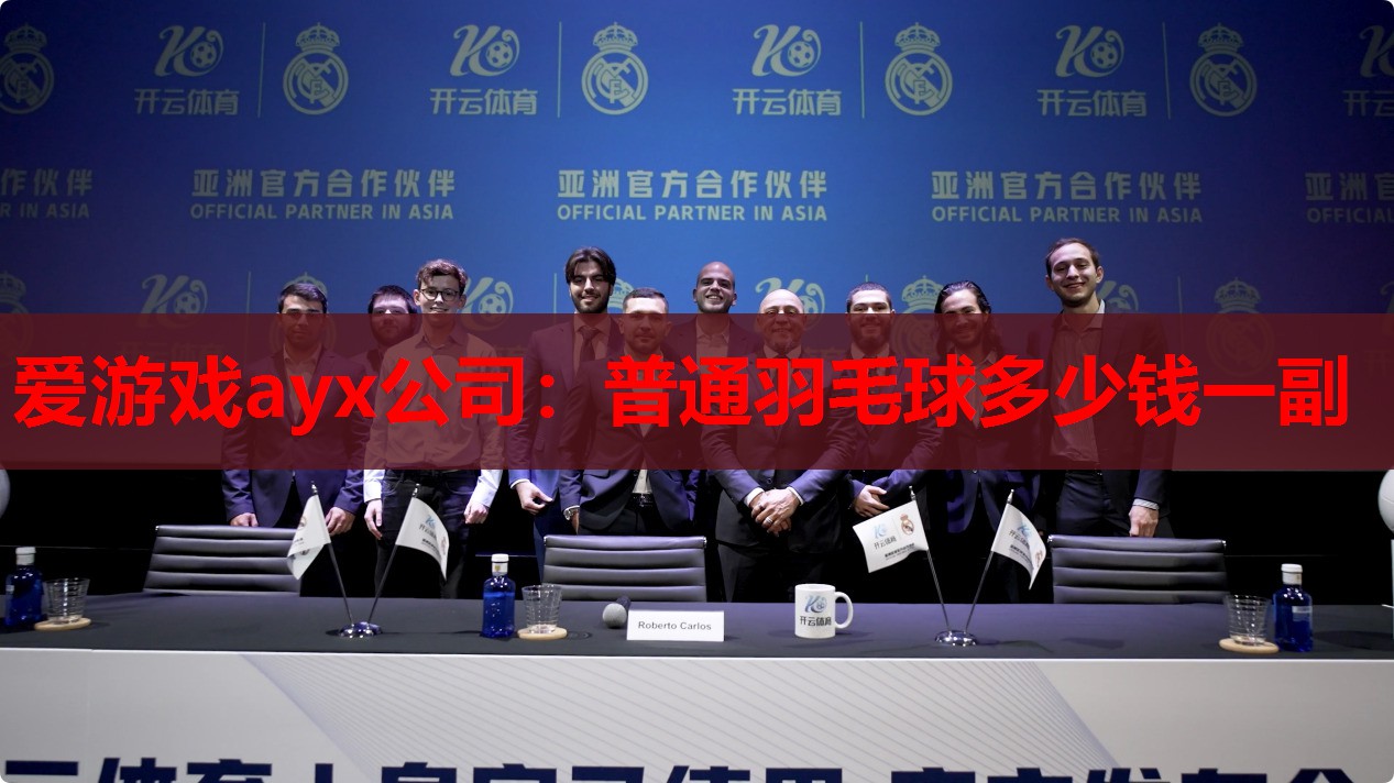 普通羽毛球多少钱一副 普通羽毛球多少钱一副