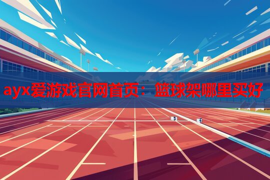 篮球架哪里买好 篮球架哪里买好