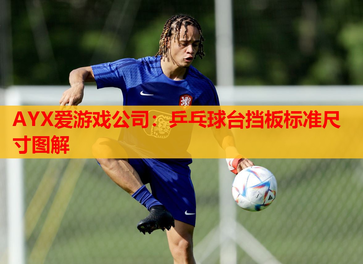 乒乓球台挡板标准尺寸图解 乒乓球台挡板标准尺寸图解